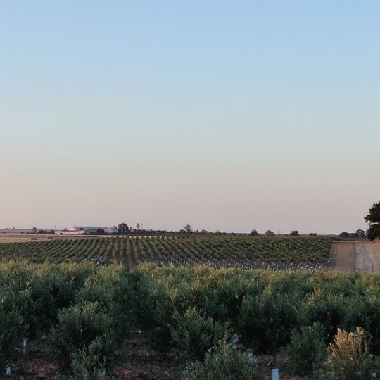 Cortijo de la Zangarrina