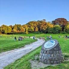 Parc de Forest