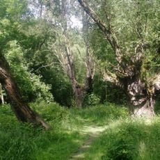 Landschaftsschutzgebiet Zaufensgraben