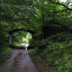 Carronhill Glen, Viaduct