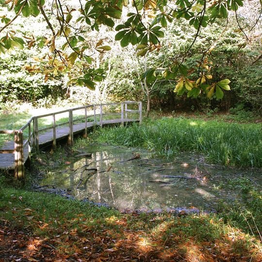 Highfield Country Park