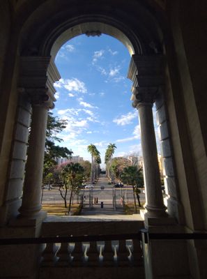 Interior 5