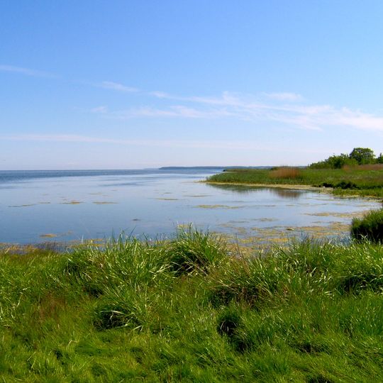 Nature Reserve Słone Łąki