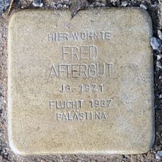 Fred Aftergut