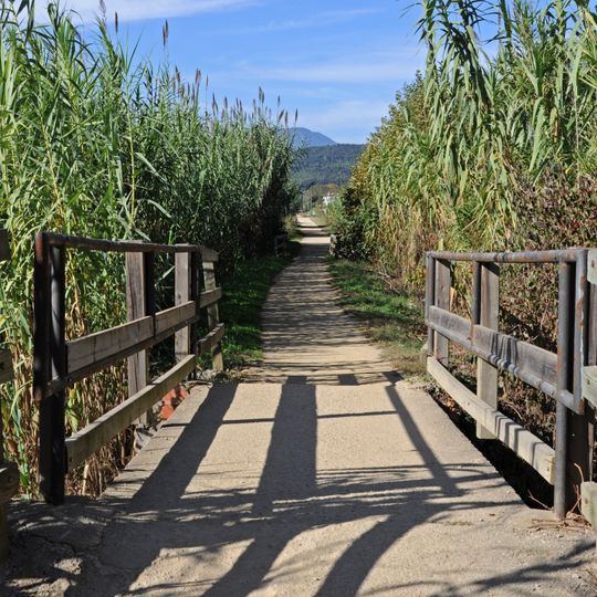 Carrilet de Girona a Olot