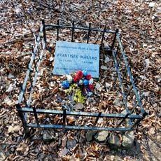 Pomník Františka Másílka v lese nad Horními Mokropsy