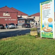 Les Délices du Plateau- Fruitière Comté Plasne Barretaine