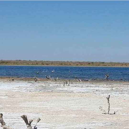 State ornithological wildlife sanctuary "Dengizkul"