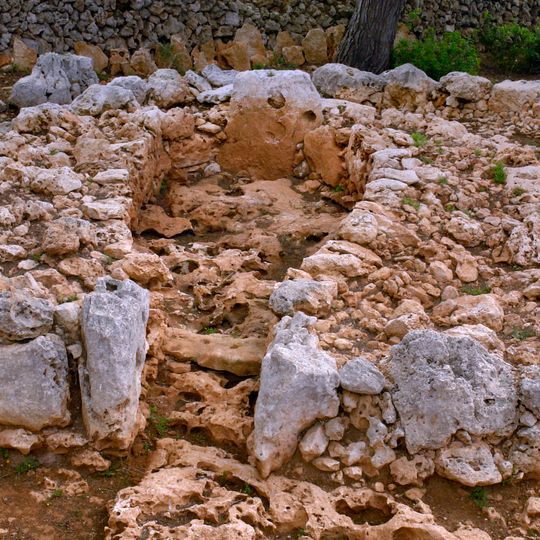 Protonaveta von Son Olivaret