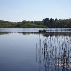 Réserve naturelle régionale des étang et boisements de Joreau