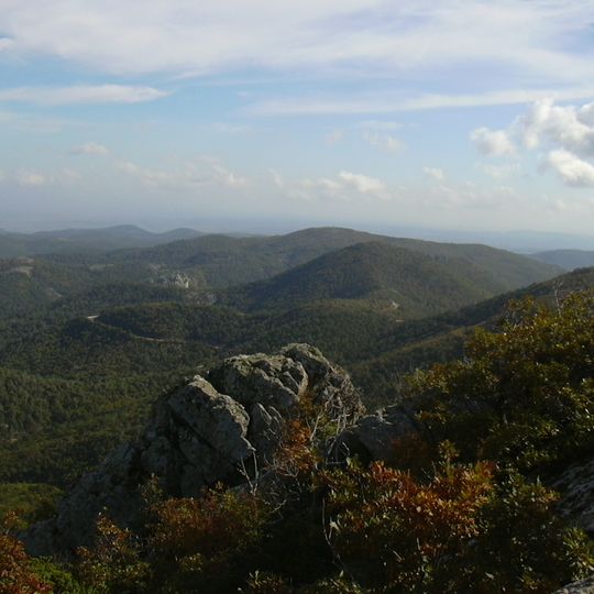 Dadia-Lefkimi-Soufli Forest National Park