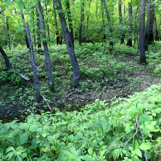 Brokenhead River Ecological Reserve