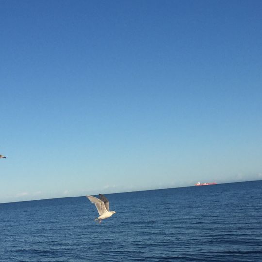 Esquimalt Lagoon Migratory Bird Sanctuary
