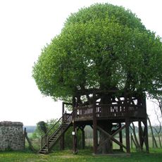 Tilleul de danse de Galenbeck