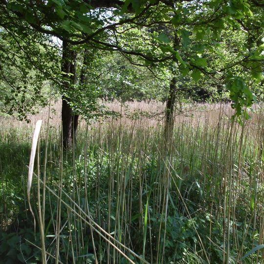 Naßwiesen Lierenfeld