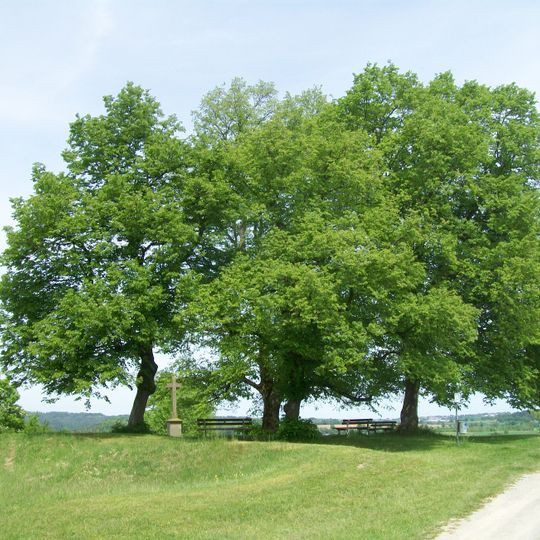 5 Linden mit Steinkreuz