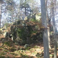 Jaronínská bučina