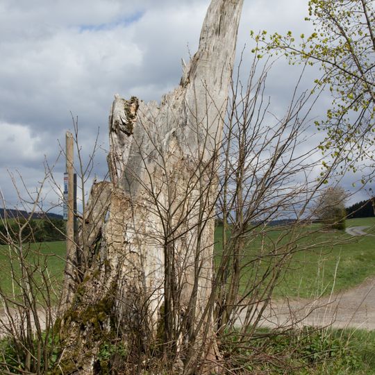 LSG Kreuzberg - Hohe Warte im Gebiet der Stadt Kronach, des Marktes Marktrodach und der Gemeinde Wilhelmsthal, Landkreis Kronach