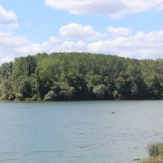 Prairies humides et forêts alluviales du Val de Saône aval