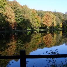 Forêt de Bellême