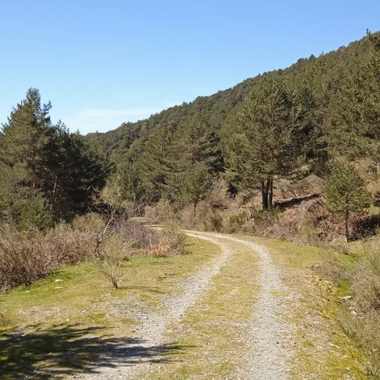 Real Sitio de San Ildefonso-El Espinar