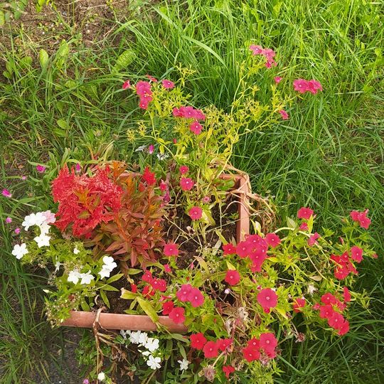 The Escurial Zoo and Flower Park