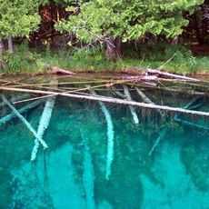 Kitch-iti-kipi