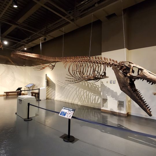 Neville Public Museum