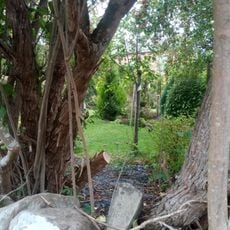 Beeswing Cottage, Lanton