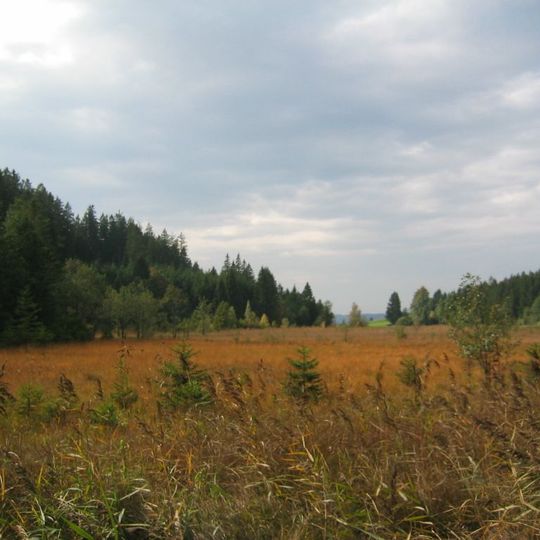 Schutz der Ruinen Hohenfreyberg - Eisenberg im Landkreis Füssen