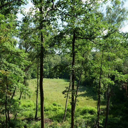 FFH-Gebiet Grunewald