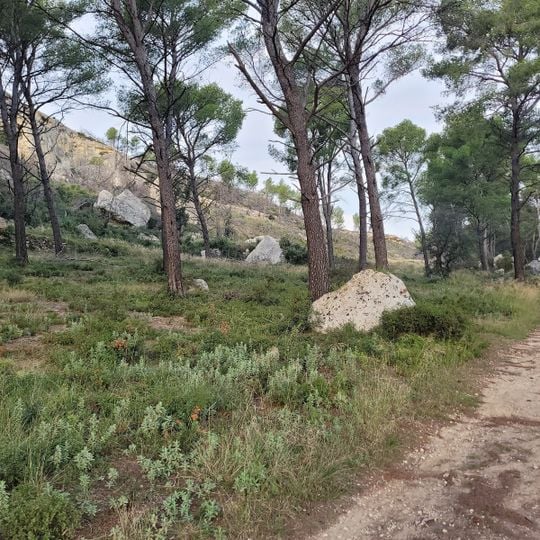 Réserve naturelle régionale du Pourra - Domaine du Ranquet
