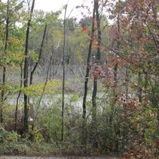 Patoka River National Wildlife Refuge and Management Area