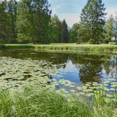 Glazovsky pond in Pavlovsk park