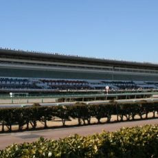 Hipódromo de Nakayama