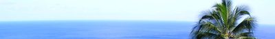 Panoramic View 0