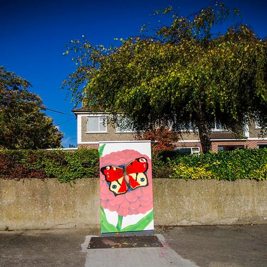 Strength of the Peacock