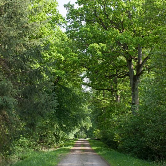 Wälder um Greifswald