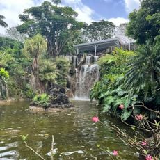 Jardin botanique de Basse-Terre