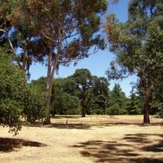 Stanford University Arboretum