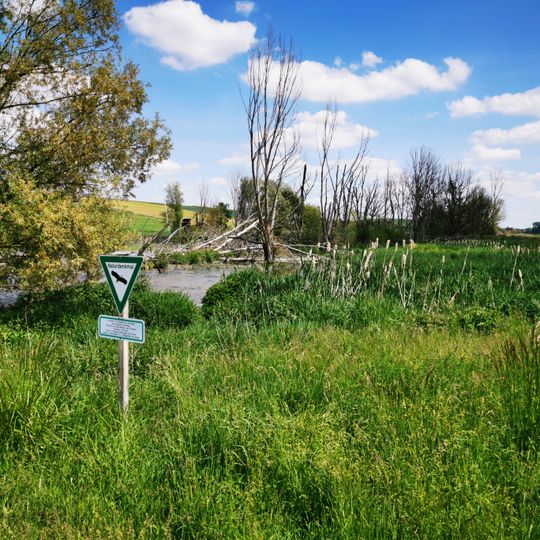Naturdenkmal Feuchtgebiet an der Riedquelle