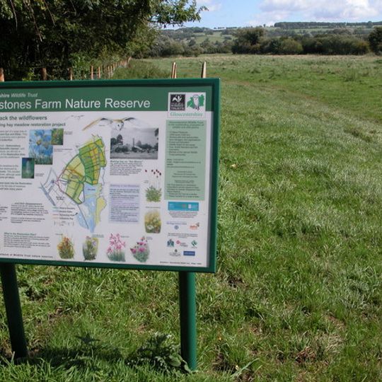 Salmonsbury Meadows SSSI
