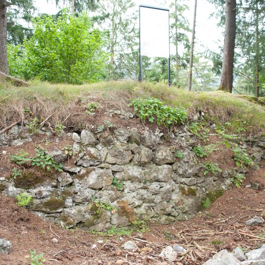 Oberer Mannenberg ruin