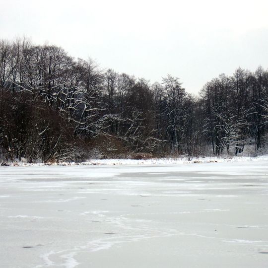 Reps- und Ochsenweiher