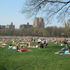 Sheep Meadow