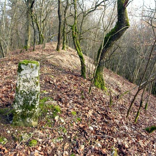 Site archéologique de Boviolles