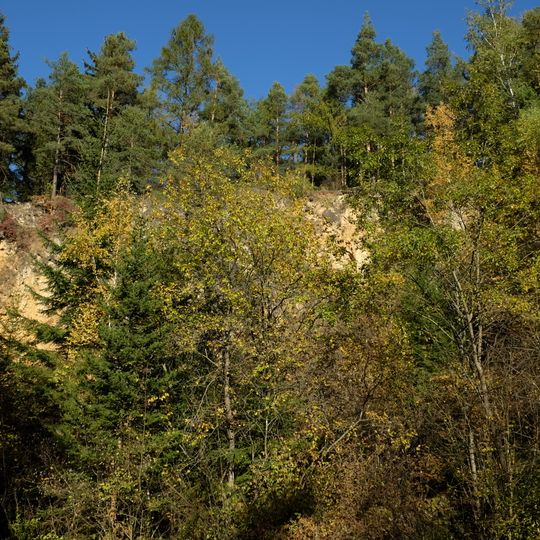 Demlinger Steinbruch N von Großmehring