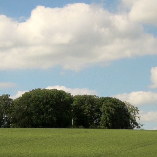 Bowl barrow on Barrow Hill, Hungerford Newtown