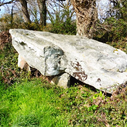 Dolmen de Coët-Courzo