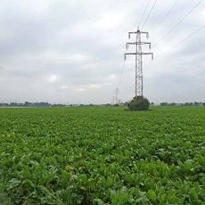 Landschaftsschutzgebiet Buschbell, Baumannshof, Neuenhof